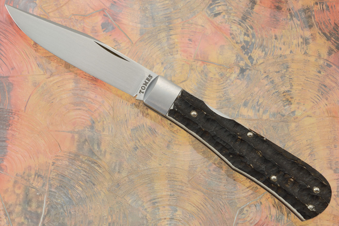 Baby Bullet Backlock Folder with Stag Bone