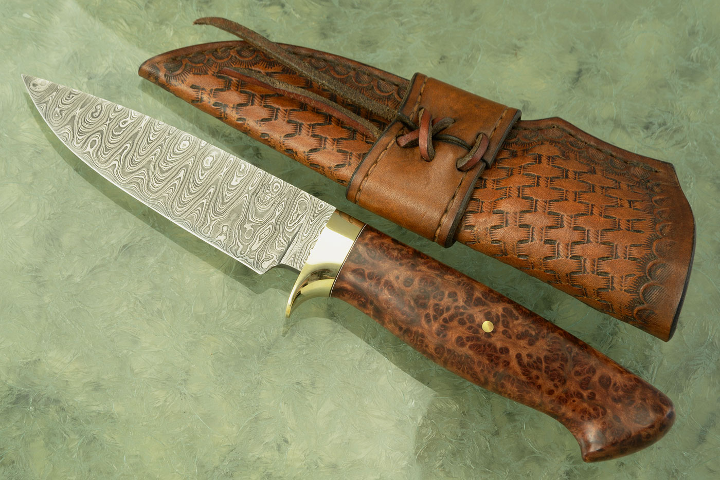 Damascus Drop Point Hunter with Mallee Burl