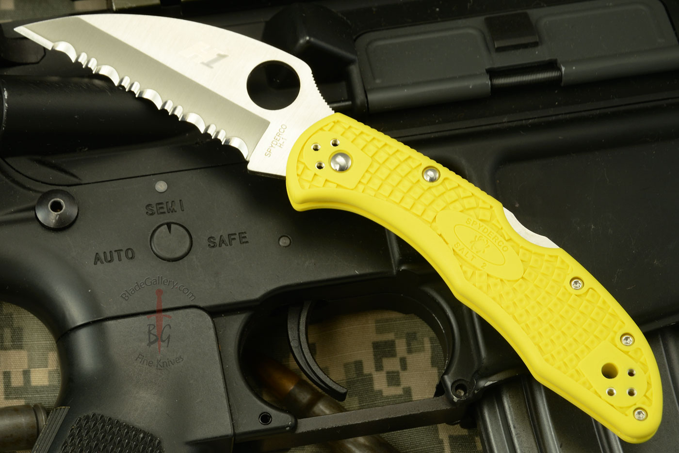 Salt 2 with Wharncliffe and Yellow FRN (C88WCYL2)