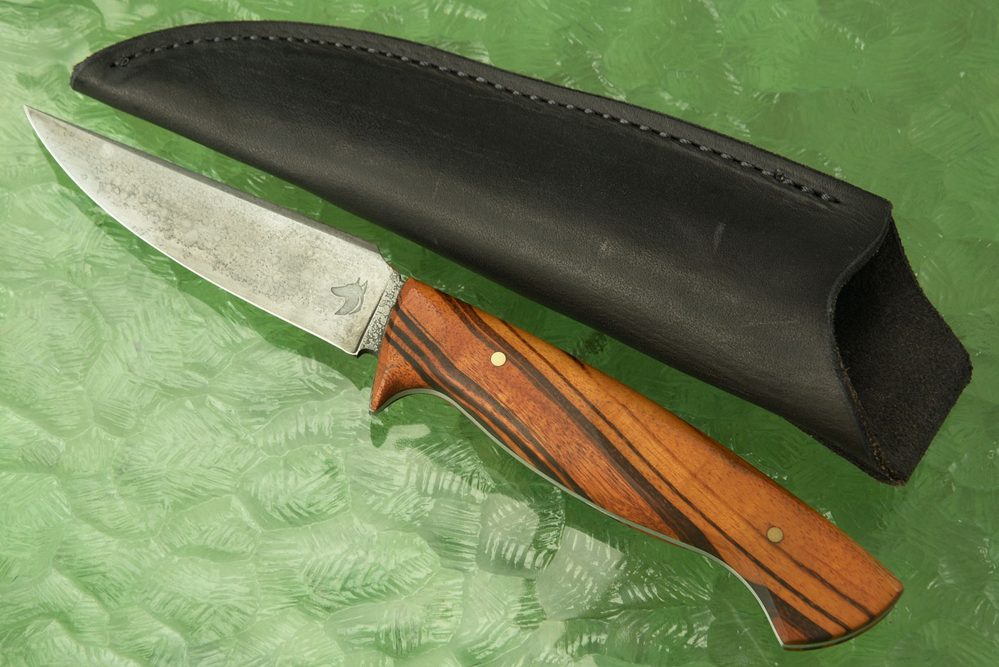 Beagle V1 Belt Knife with Tigerwood