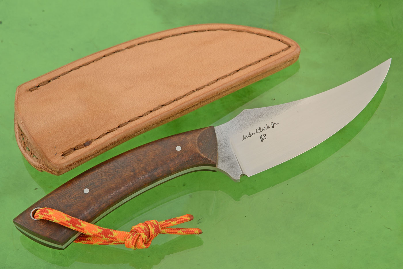 Trailing Point Skinner with Ringed Gidgee