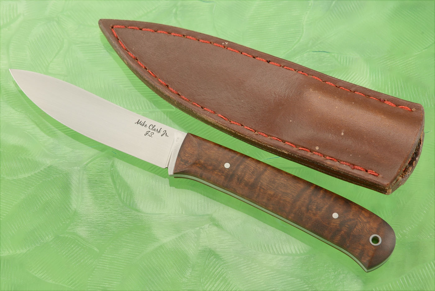 Pocket Hunter with Ringed Gidgee