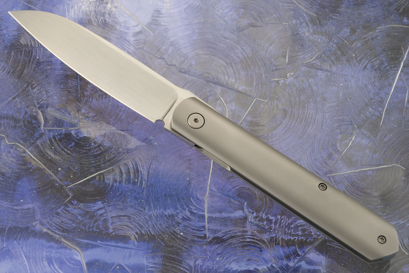 Fructis Front Flipper with Titanium - RWL-34