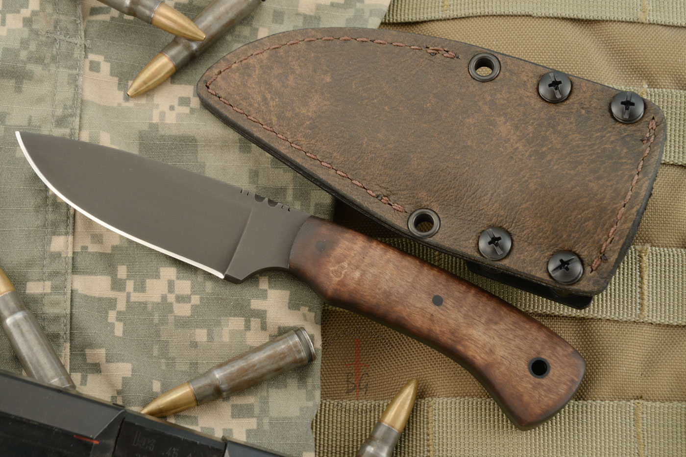 Huntsman with Maple