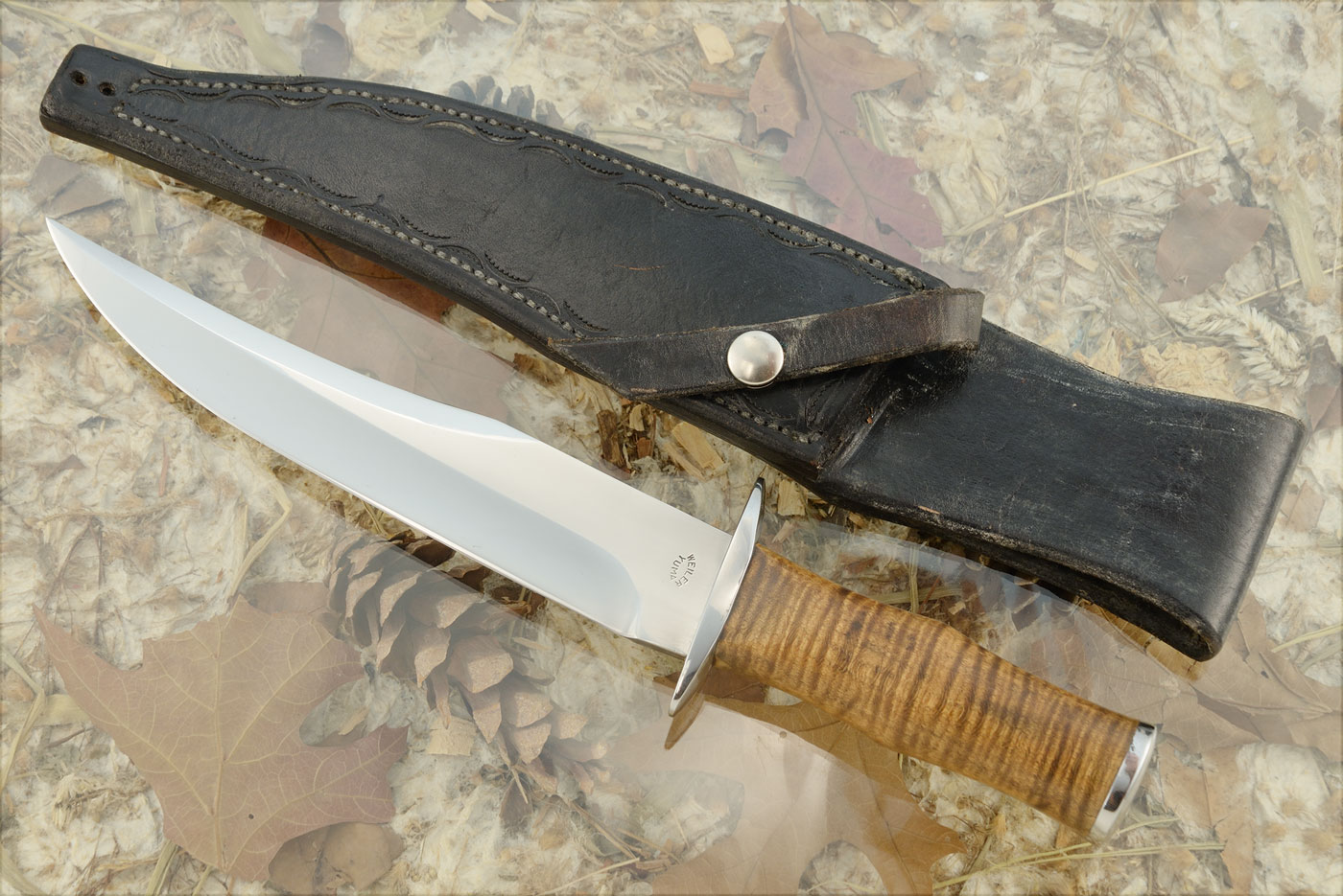 Bowie with Curly Maple