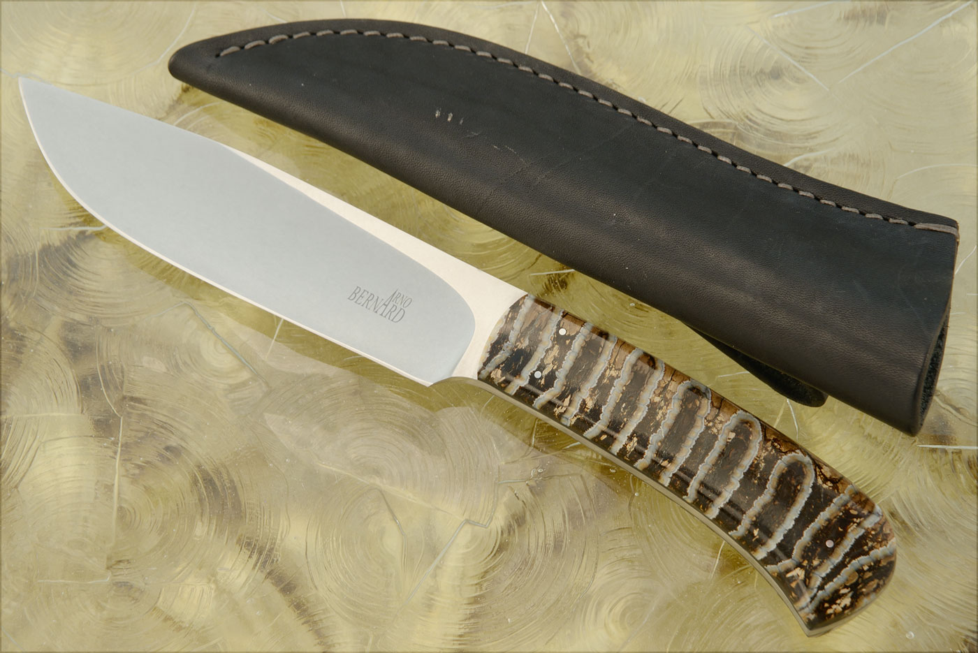 Drop Point Hunter with Mammoth Molar