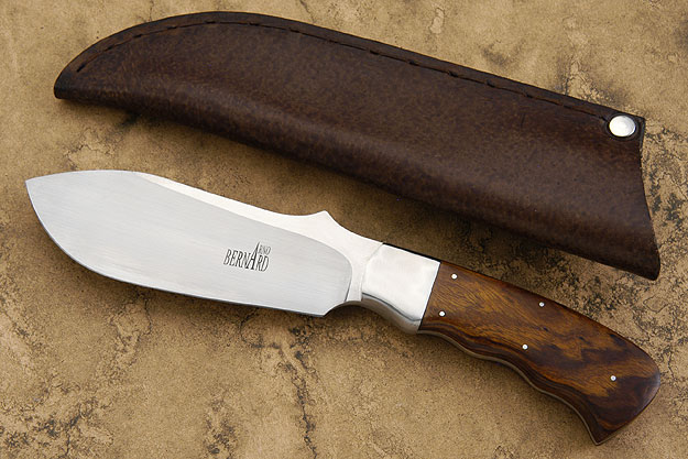 Rhino with Desert Ironwood