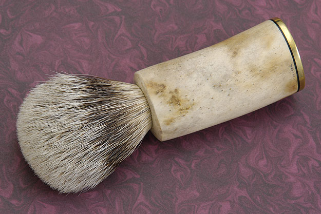 Steller's Shaving Brush