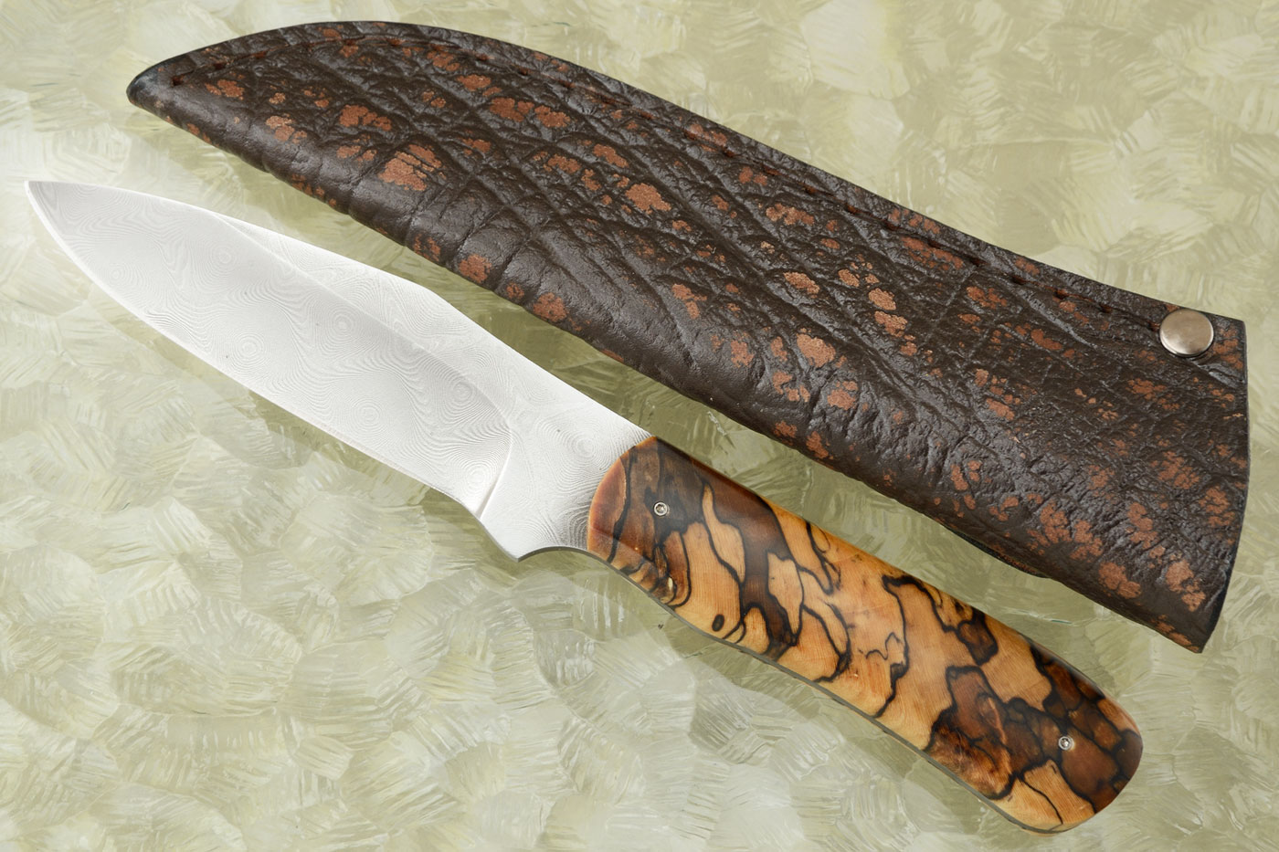 Damascus Clip Point Hunter with Spalted Maple